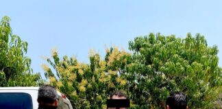 Por secuestro, Fiscalía de Oaxaca ejecuta orden de aprehensión contra dos personas en la Costa