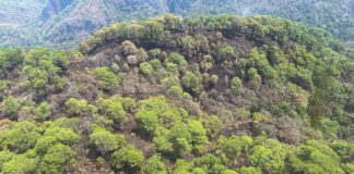Reporte de avances en control y liquidación de incendios en los Chimalapas