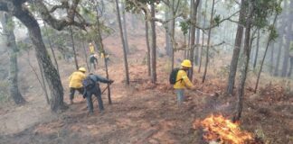 Continúa atención a incendio forestal en la zona Chontal