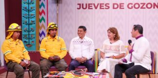 Invitan a participar en Convocatoria Diosa Centéotl 2024