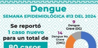 Refuerza SSO acciones contra el dengue en 80 municipios prioritarios