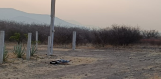 Dejan cadáver en rancho de candidata a la presidencia de Ocotlán