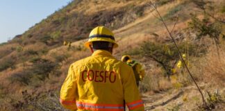 Atiende Coesfo reporte de incendio forestal en San Andrés Huayápam