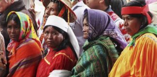 DETRÁS DE LA NOTICIA: Nuevo hitazo nacional de Litigio Estratégico Indígena, en Chihuahua