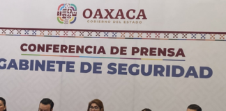 Reporta Coesfo 10 incendios activos en Oaxaca