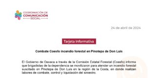 Combate Coesfo incendio forestal en Pinotepa de Don Luis