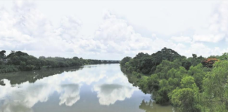 Edil de Tuxtepec busca retardar sentencia que ordena el rescate de afluente del Papaloapam