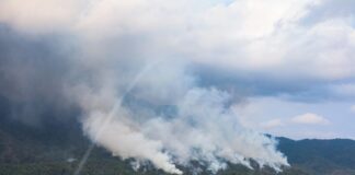 Refuerzan trabajos de combate en incendio de la Sierra Sur