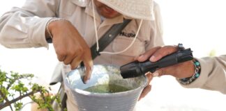 Exhorta SSO extremar medidas contra el zika