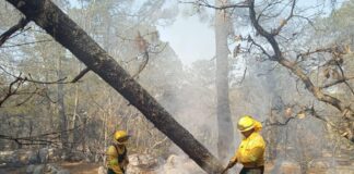 Controlan incendio forestal en San Juan Tamazola y Yutanduchi de Guerrero