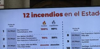 Suman 12 incendios activos en Oaxaca, el de Mitla es el más mediático no el más complejo: Coesfo