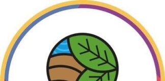 Reporta Coesfo control total de incendio forestal en San Francisco Telixtlahuaca