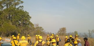 Continúa la atención de incendio forestal en San Francisco Telixtlahuaca