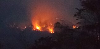 Piden ayuda por incendio forestal agencias de Pluma Hidalgo