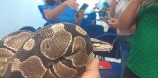 Actualizan a personal de salud sobre manejo oportuno de intoxicación por animales ponzoñosos