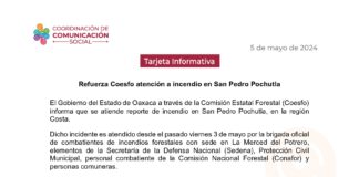 Refuerza Coesfo atención a incendio en San Pedro Pochutla