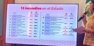 Confirma Coesfo 13 incendios activos en el estado