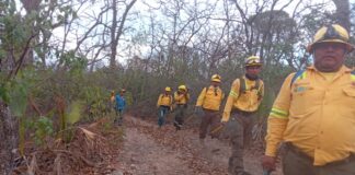 Refuerza Coesfo atención a incendio en San Francisco Telixtlahuaca