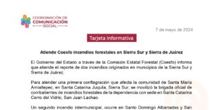 Atiende Coesfo incendios forestales en Sierra Sur y Sierra de Juárez