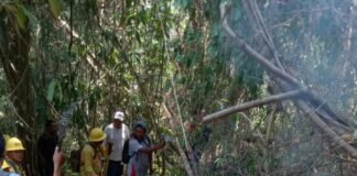 Controlan 100% incendio intermunicipal en Pluma Hidalgo y San Pedro Pochutla