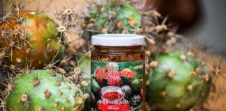 Invitan a la 50 edición de la Feria Regional de la Pitaya 2024