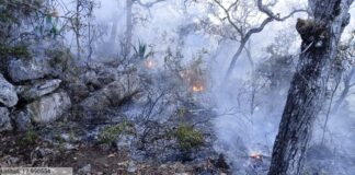 Controlado al 100% incendio forestal de Tepelmeme Villa de Morelos