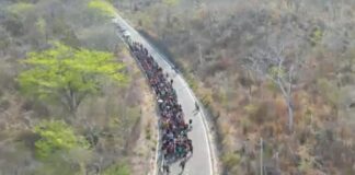 Autoridades garantizan tránsito ordenado y seguro a población migrante en su paso por Oaxaca
