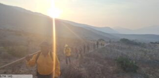 Refuerzan atención para sofocar incendios forestales en el Distrito de Tlacolula