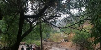 Supervisa Protección Civil deslave en la Sierra de Juárez