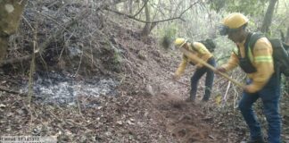 Controla Coesfo incendio forestal en San Francisco Cajonos