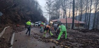 Atiende Protección Civil deslave en la Sierra de Juárez