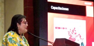 Llama legisladora a cumplir norma oficial mexicana para prevenir incendios forestales en Oaxaca