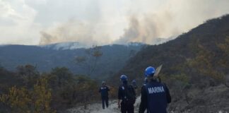 Controlado al 100% incendio forestal en San Pablo Villa de Mitla y Villa Díaz Ordaz