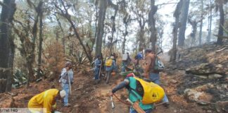 Reporta Coesfo 10 incendios forestales activos en la entidad