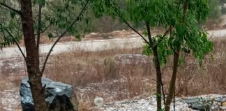Se registra lluvia con granizo en municipios de la región Mixteca