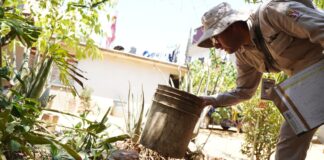 Oaxaca reporta 56 municipios con casos confirmados de dengue