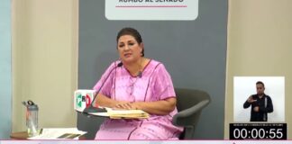Me quisieron bajar de la candidatura: Carmelita Ricárdez