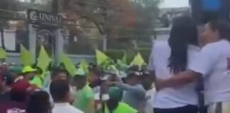 Pelean simpatizantes de Morena y del Verde