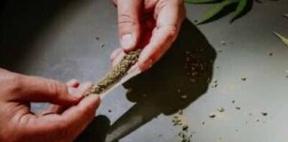 FGEO logra vinculación a proceso por delitos contra la salud en la Costa