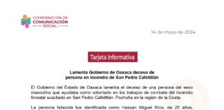 Lamenta Gobierno de Oaxaca deceso de persona en incendio de San Pedro Cafetitlán