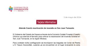 Atiende Coesfo reactivación de incendio en San Juan Tamazola