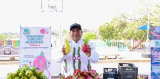 Santo Domingo Tianguistengo, medio siglo celebrando la Feria de la Pitaya