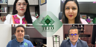 Revoca TEEO registro de candidatos a diputaciones que no acreditaron tener una discapacidad