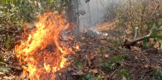 Controlado al 80% incendio intermunicipal en Pluma Hidalgo y San Pedro Pochutla
