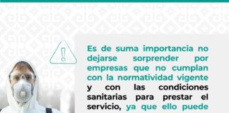 Emiten recomendaciones para contratar empresas seguras de exterminación de plagas