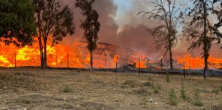 Trabajan para sofocar incendio en aserradero de San Miguel Etla
