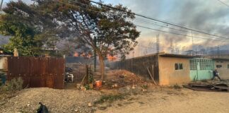 Trabajan para sofocar incendio en aserradero de San Miguel Etla