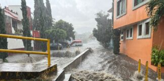 Deja lluvia registrada esta tarde inundaciones, árboles caídos y vehículos varados: Protección Civil