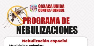 Brigadas contra el dengue refuerzan acciones