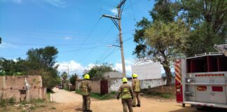 Atienden cuerpos de seguridad y auxilio reporte de presunto desplome de aeronave en San María Coyotepec